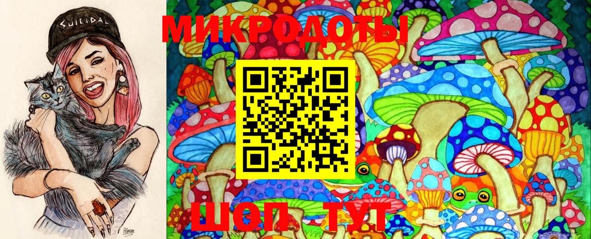 Галлюциногенные грибы MAGIC MUSHROOMS  Вход с VPN  Кинешма 